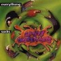 ACTIVE INGREDIANTS everything sucks CD