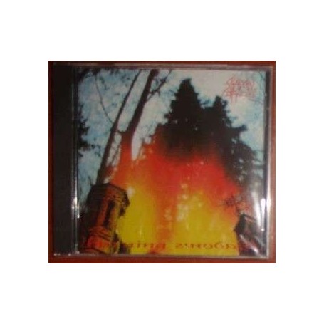 SHADOW DANCES burning shadows CD