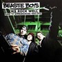 BEASTIE BOYS - WE ROCK WELL-RARE TV APPEARANCES 1984-1992 CD