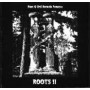 ROOTS II THE EVIL RETURN recopilatorio CD
