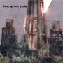 LAST GREEN FIELD - another way to relate CD