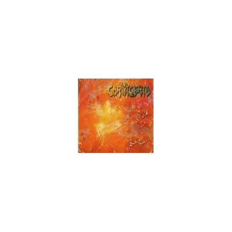 LA CARNICERIA a golpe de palosanto CD