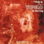 TUPELO - in the fog CD