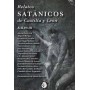 RELATOS SATANICOS DE CASTILLA Y LEON libro