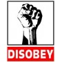 disobey