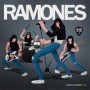 RAMONES - BAND RECORDS 1 libro -masivo-
