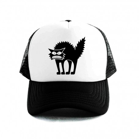 gato gorra