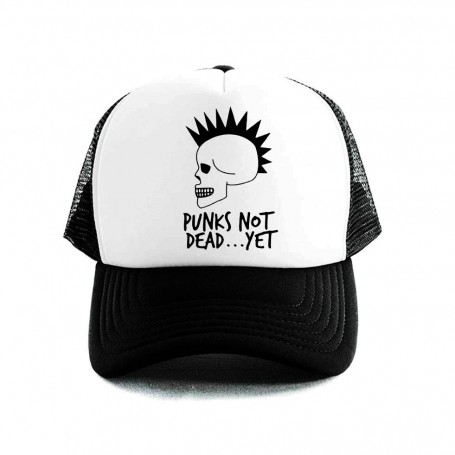 punks not dead gorra