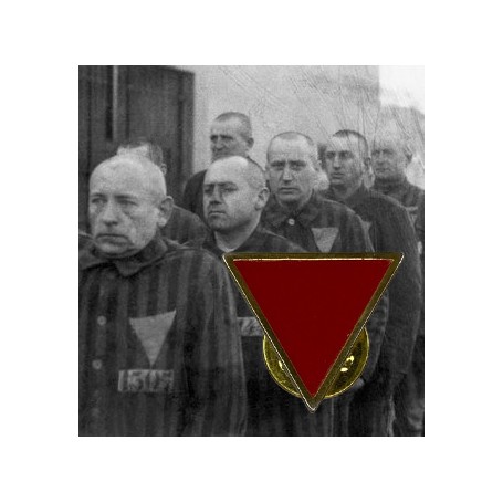 Triángulo antifascista pin