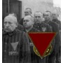 Triángulo antifascista pin