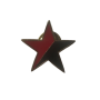 Estrella rojinegra pin