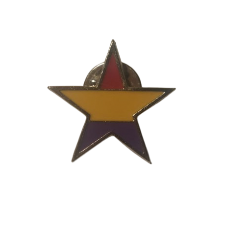 Estrella república pin