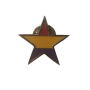 Estrella república pin