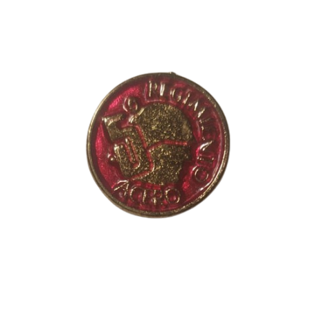 Regimiento de acero pin