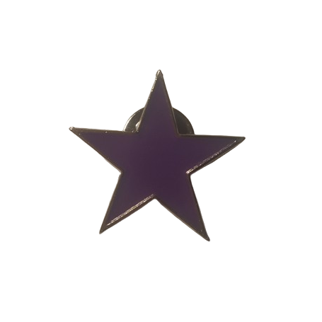 Estrella morada pin