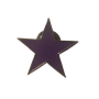 Estrella morada pin
