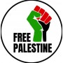 free Palestine chapa