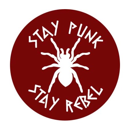 stay punk stay rebel chapa