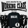 Working class records (mod. punk sounds)