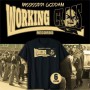 Working class records (mod. Mississippi goddam)