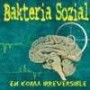BAKTERIA SOZIAL En koma irreversible CD