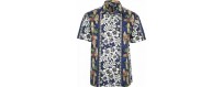 camisa hawaiana